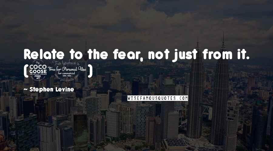 Stephen Levine Quotes: Relate to the fear, not just from it. (50)