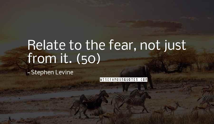 Stephen Levine Quotes: Relate to the fear, not just from it. (50)