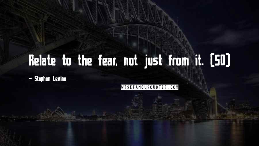 Stephen Levine Quotes: Relate to the fear, not just from it. (50)
