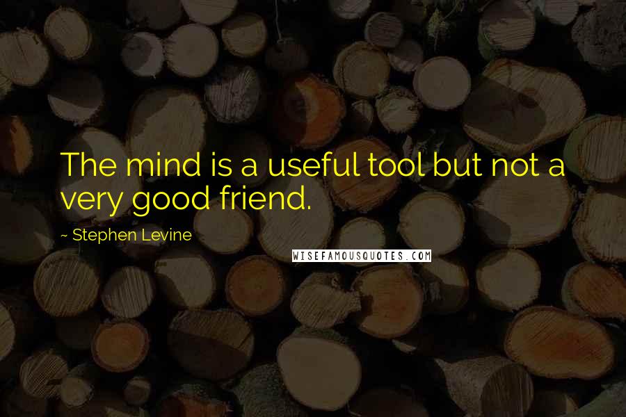 Stephen Levine Quotes: The mind is a useful tool but not a very good friend.