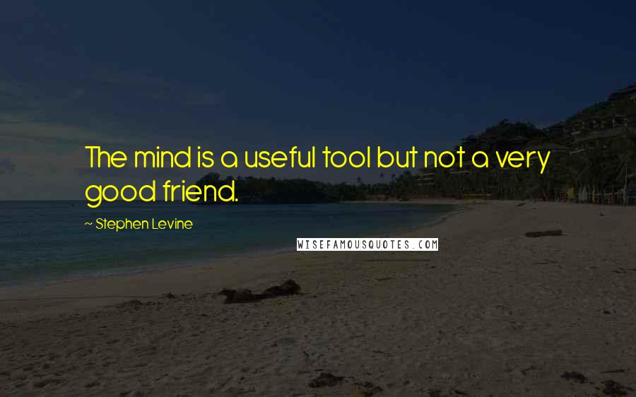 Stephen Levine Quotes: The mind is a useful tool but not a very good friend.