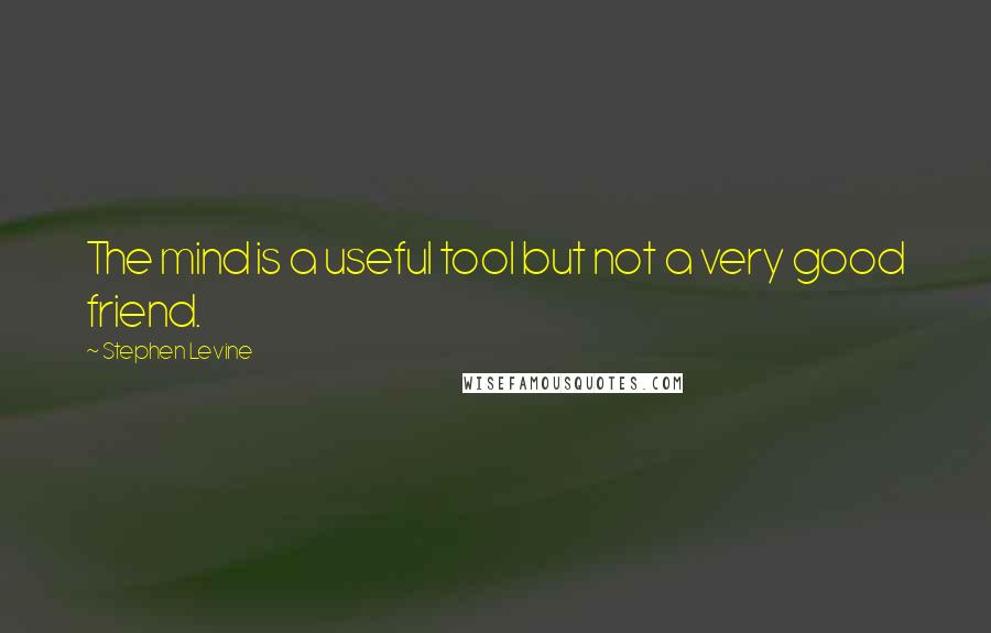 Stephen Levine Quotes: The mind is a useful tool but not a very good friend.