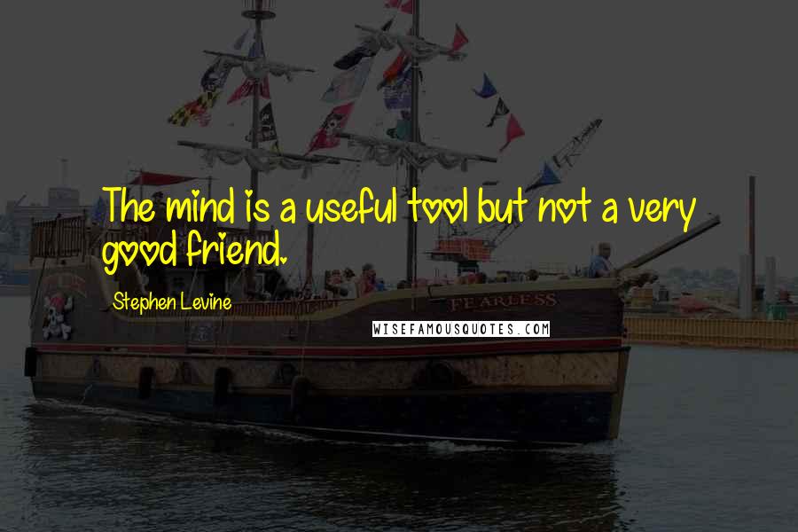 Stephen Levine Quotes: The mind is a useful tool but not a very good friend.