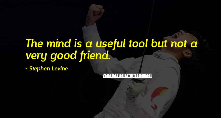 Stephen Levine Quotes: The mind is a useful tool but not a very good friend.