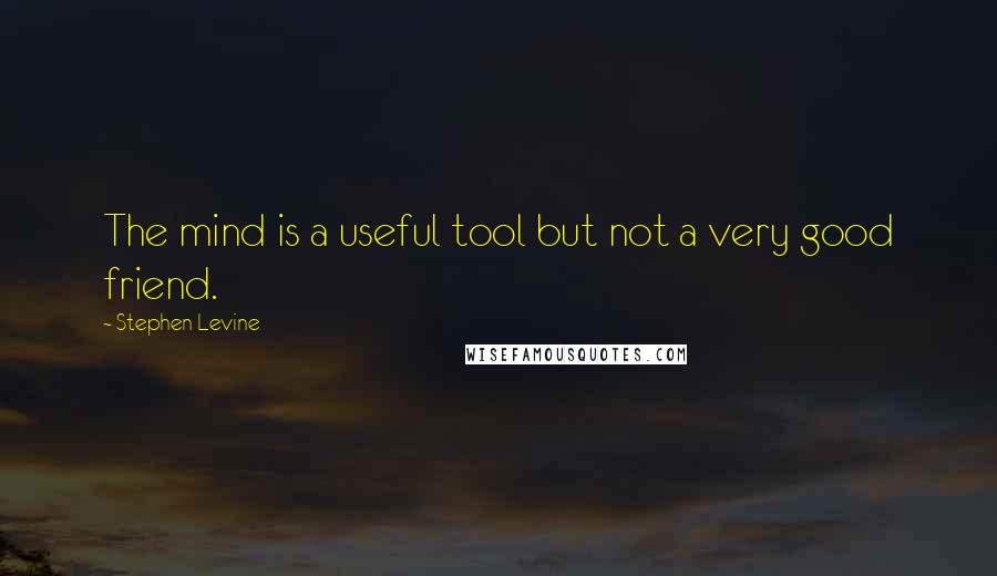 Stephen Levine Quotes: The mind is a useful tool but not a very good friend.