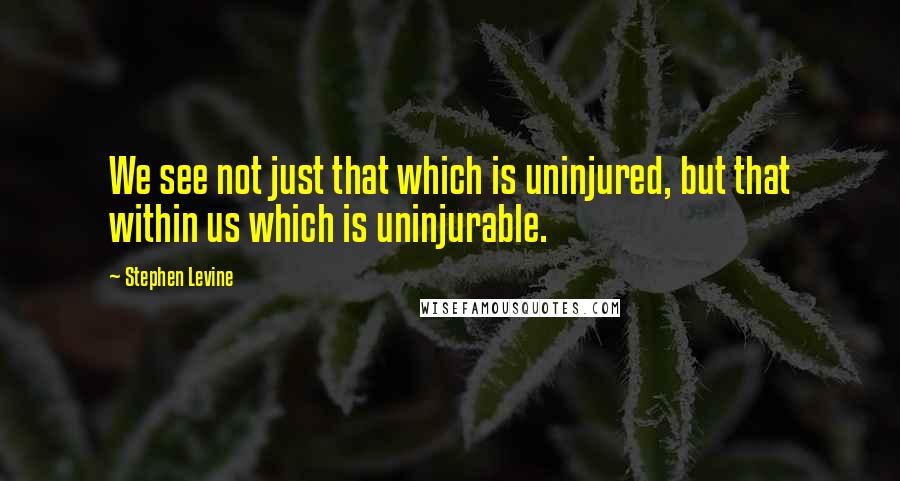 Stephen Levine Quotes: We see not just that which is uninjured, but that within us which is uninjurable.