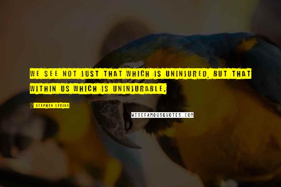 Stephen Levine Quotes: We see not just that which is uninjured, but that within us which is uninjurable.