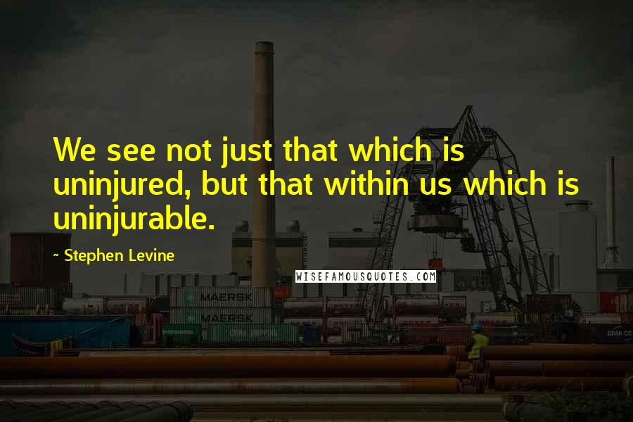 Stephen Levine Quotes: We see not just that which is uninjured, but that within us which is uninjurable.