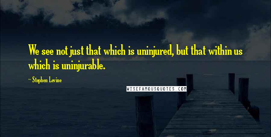 Stephen Levine Quotes: We see not just that which is uninjured, but that within us which is uninjurable.