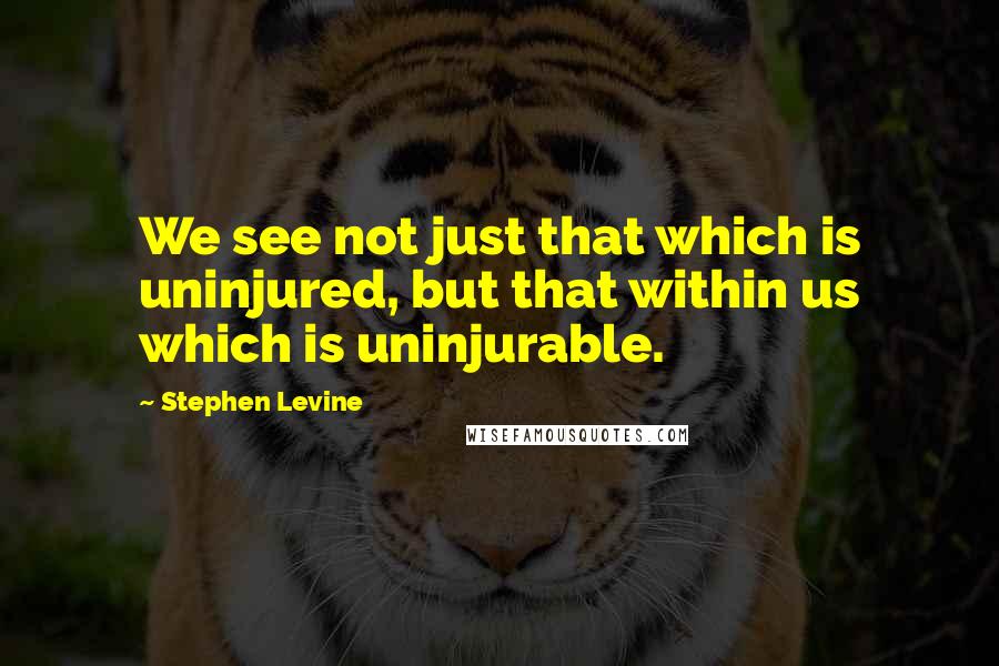 Stephen Levine Quotes: We see not just that which is uninjured, but that within us which is uninjurable.