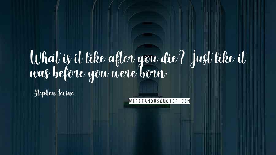 Stephen Levine Quotes: What is it like after you die? Just like it was before you were born.