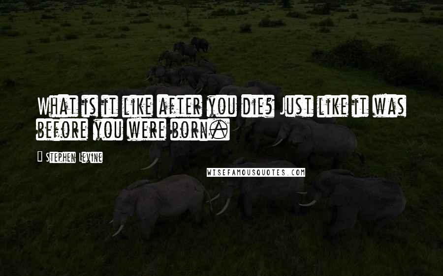 Stephen Levine Quotes: What is it like after you die? Just like it was before you were born.