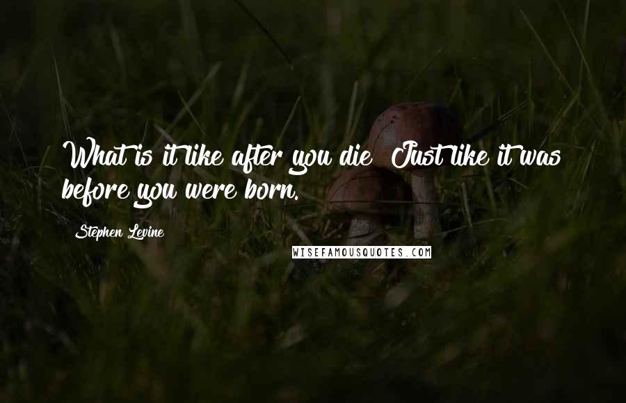 Stephen Levine Quotes: What is it like after you die? Just like it was before you were born.