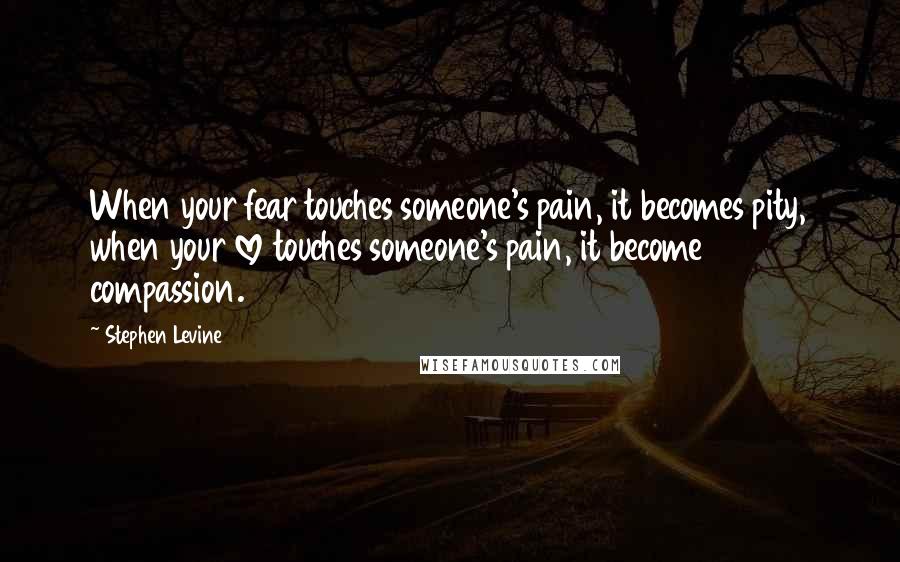 Stephen Levine Quotes: When your fear touches someone's pain, it becomes pity, when your love touches someone's pain, it become compassion.