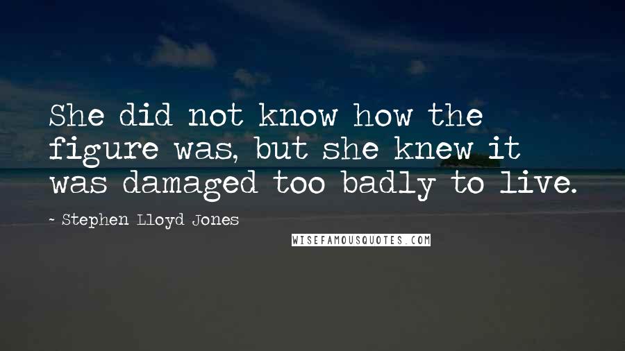 Stephen Lloyd Jones Quotes: She did not know how the figure was, but she knew it was damaged too badly to live.