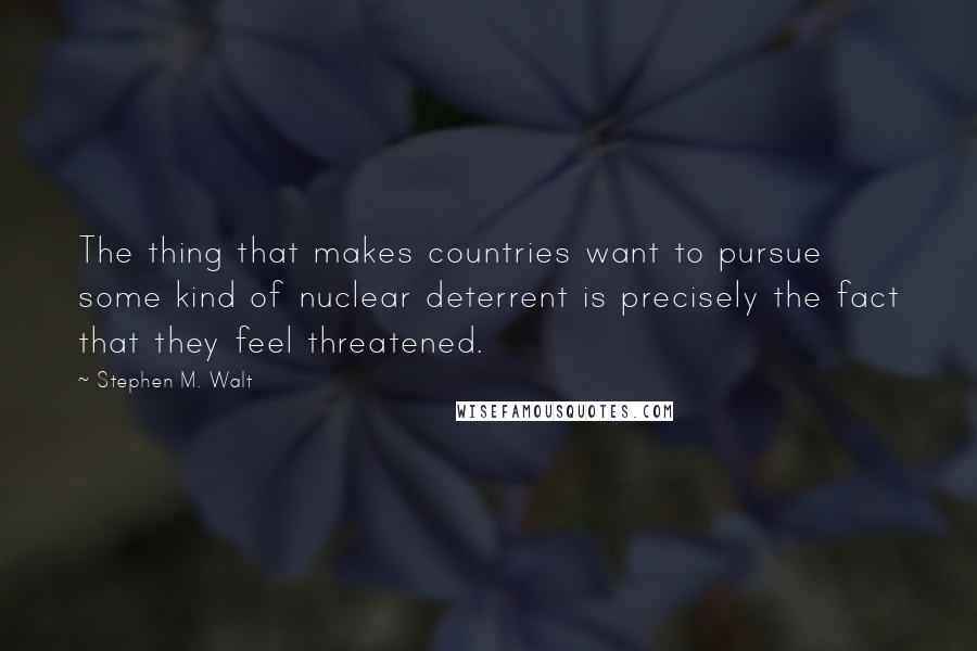 Stephen M. Walt Quotes: The thing that makes countries want to pursue some kind of nuclear deterrent is precisely the fact that they feel threatened.