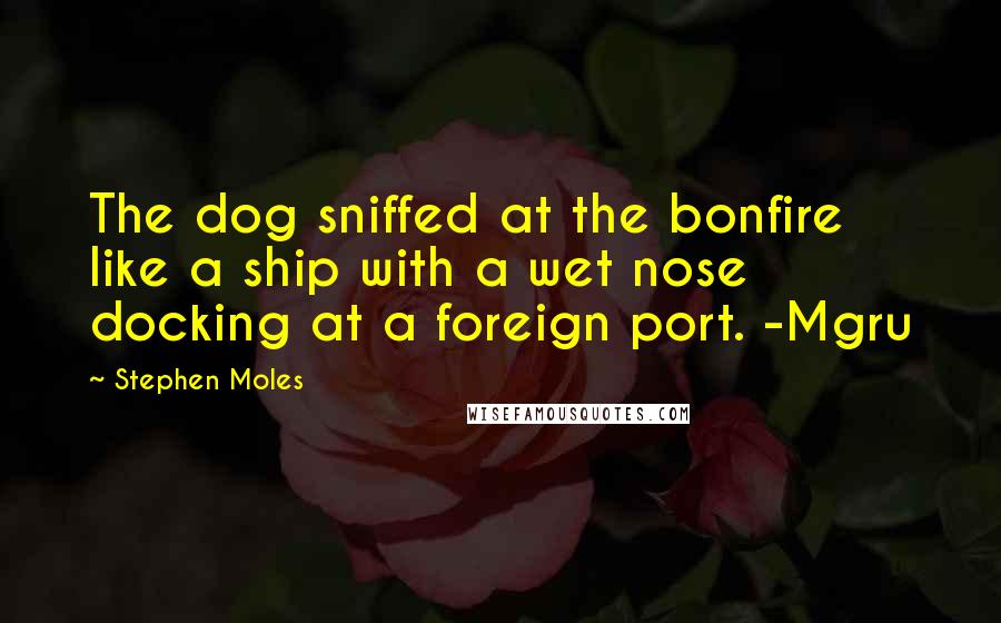 Stephen Moles Quotes: The dog sniffed at the bonfire like a ship with a wet nose docking at a foreign port. -Mgru