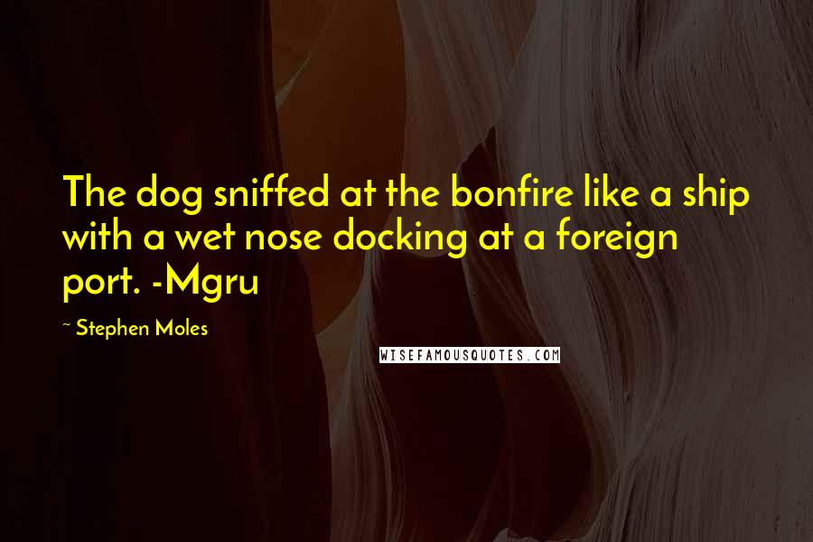 Stephen Moles Quotes: The dog sniffed at the bonfire like a ship with a wet nose docking at a foreign port. -Mgru