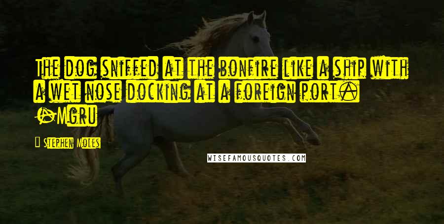 Stephen Moles Quotes: The dog sniffed at the bonfire like a ship with a wet nose docking at a foreign port. -Mgru