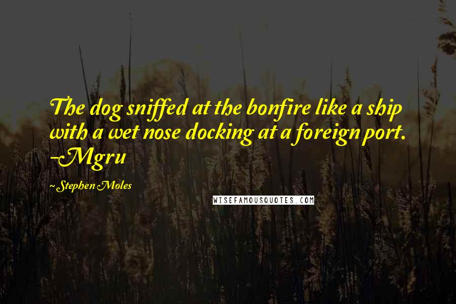 Stephen Moles Quotes: The dog sniffed at the bonfire like a ship with a wet nose docking at a foreign port. -Mgru