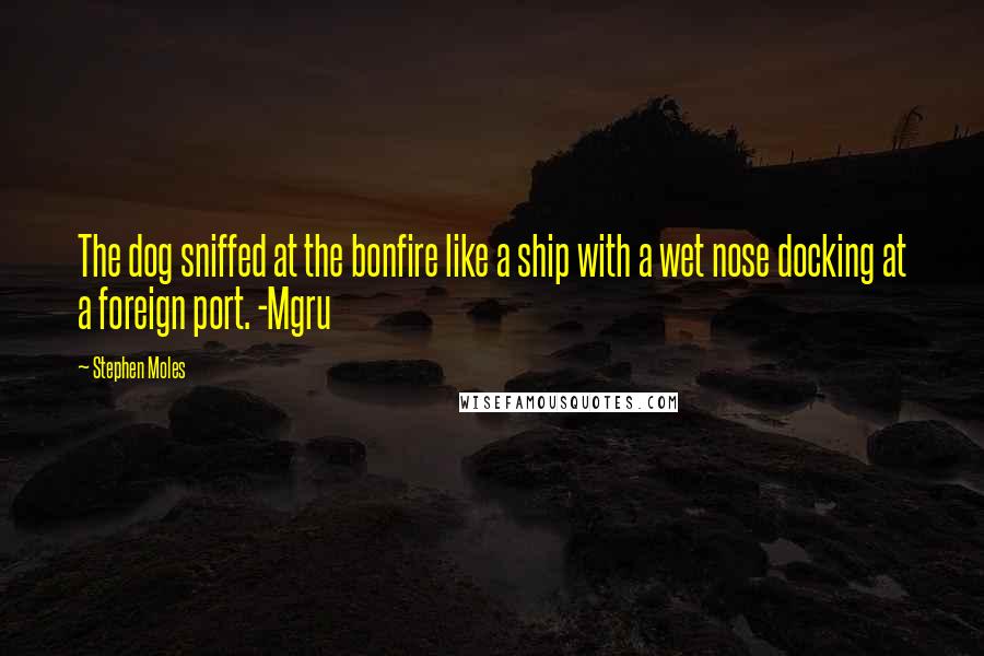 Stephen Moles Quotes: The dog sniffed at the bonfire like a ship with a wet nose docking at a foreign port. -Mgru