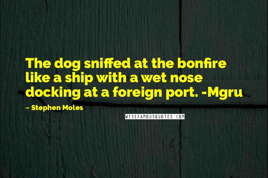 Stephen Moles Quotes: The dog sniffed at the bonfire like a ship with a wet nose docking at a foreign port. -Mgru