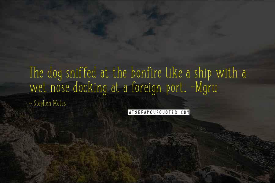 Stephen Moles Quotes: The dog sniffed at the bonfire like a ship with a wet nose docking at a foreign port. -Mgru
