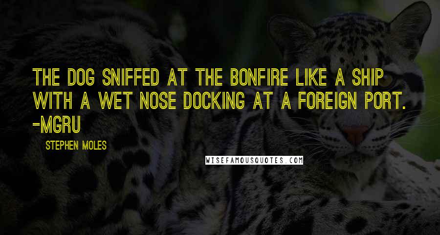 Stephen Moles Quotes: The dog sniffed at the bonfire like a ship with a wet nose docking at a foreign port. -Mgru