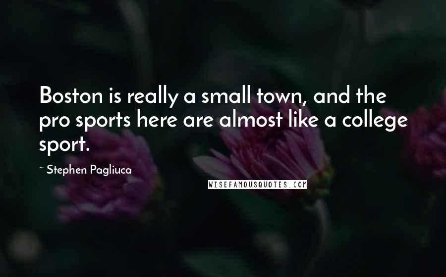 Stephen Pagliuca Quotes: Boston is really a small town, and the pro sports here are almost like a college sport.
