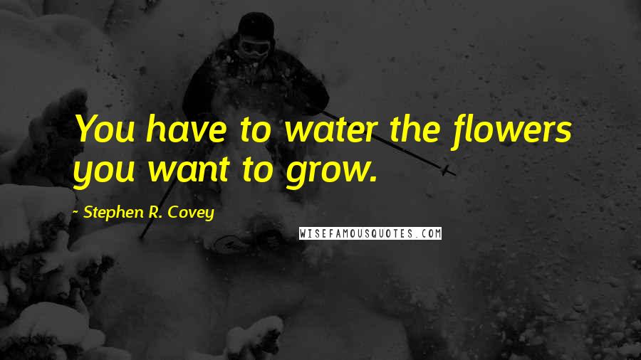 Stephen R. Covey Quotes: You have to water the flowers you want to grow.
