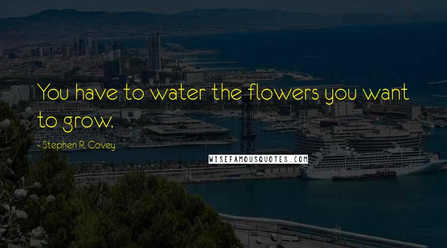 Stephen R. Covey Quotes: You have to water the flowers you want to grow.