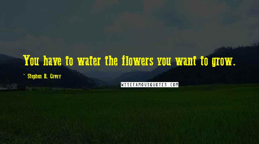 Stephen R. Covey Quotes: You have to water the flowers you want to grow.