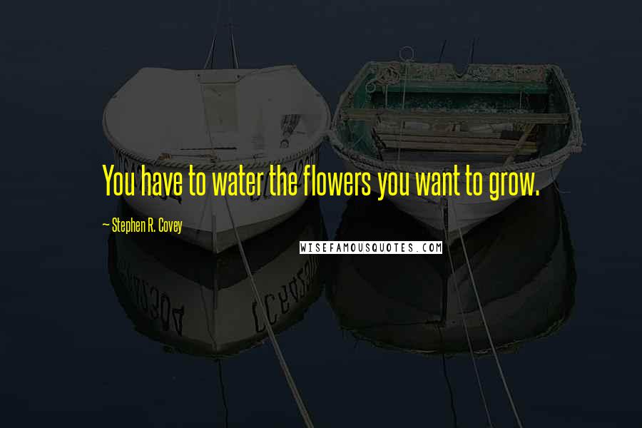 Stephen R. Covey Quotes: You have to water the flowers you want to grow.