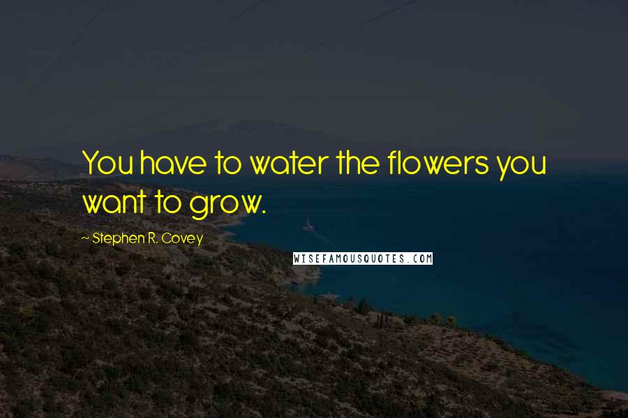 Stephen R. Covey Quotes: You have to water the flowers you want to grow.