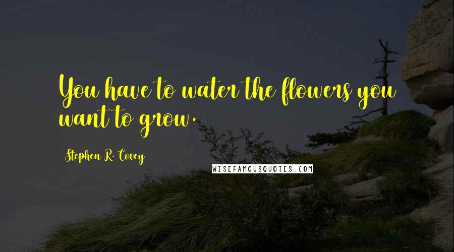 Stephen R. Covey Quotes: You have to water the flowers you want to grow.