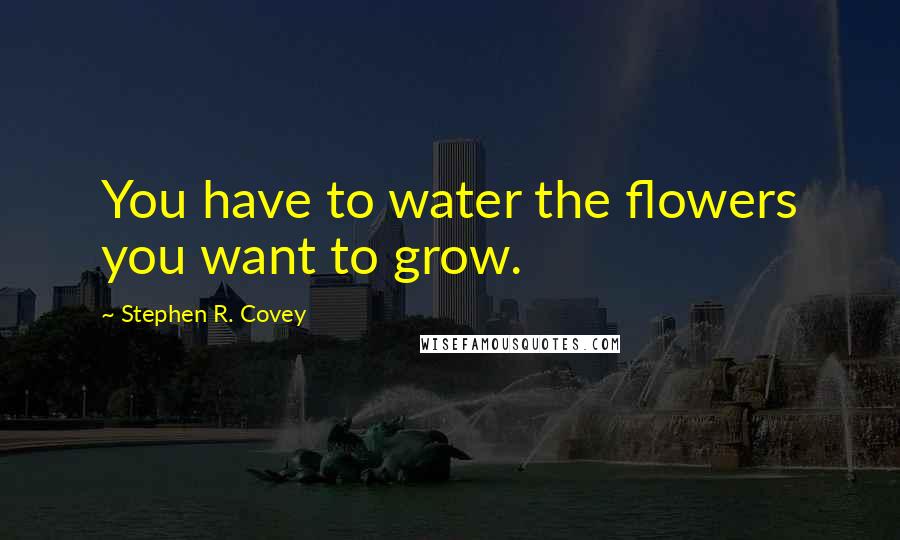 Stephen R. Covey Quotes: You have to water the flowers you want to grow.