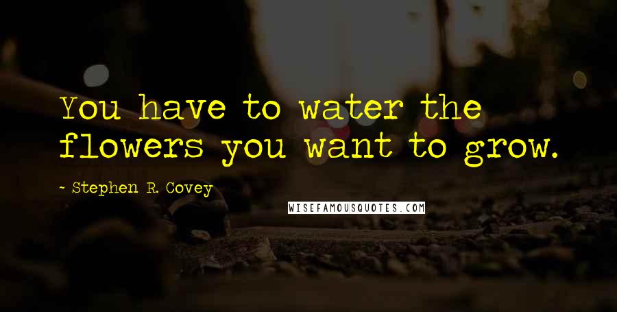 Stephen R. Covey Quotes: You have to water the flowers you want to grow.