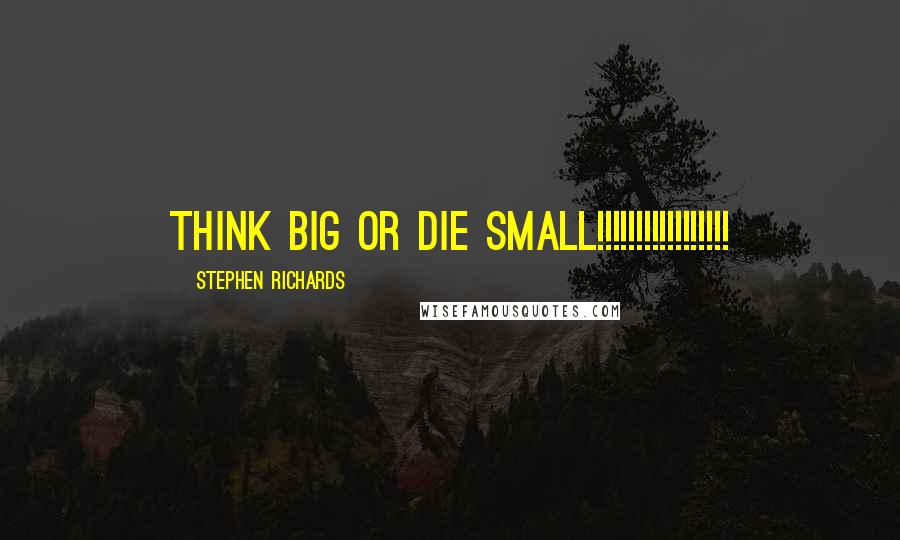 Stephen Richards Quotes: Think big or die small!!!!!!!!!!!!!!!!!