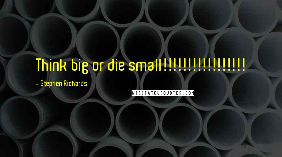 Stephen Richards Quotes: Think big or die small!!!!!!!!!!!!!!!!!