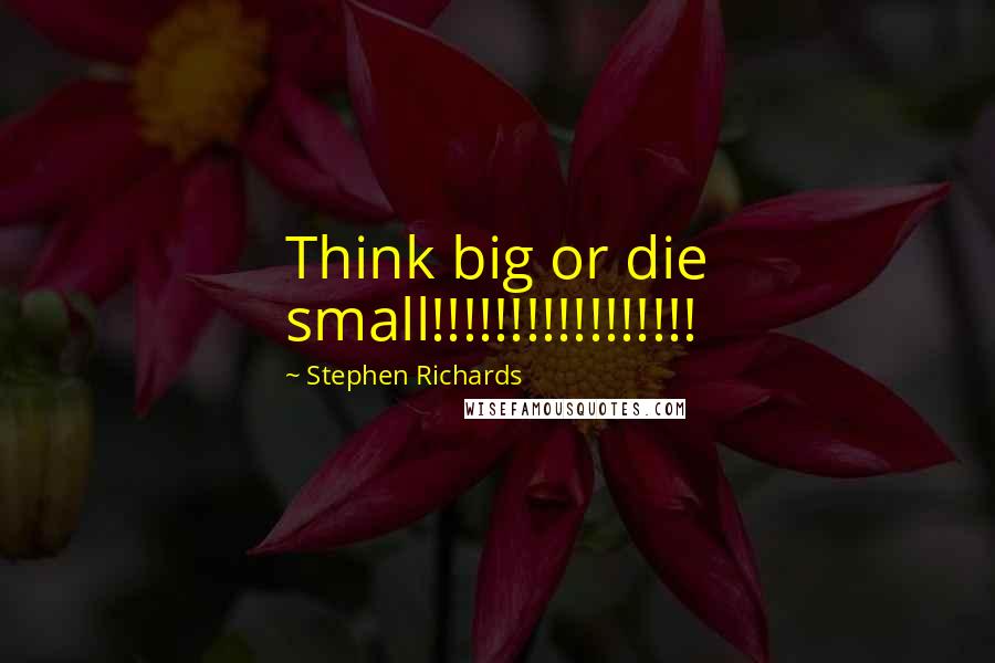 Stephen Richards Quotes: Think big or die small!!!!!!!!!!!!!!!!!