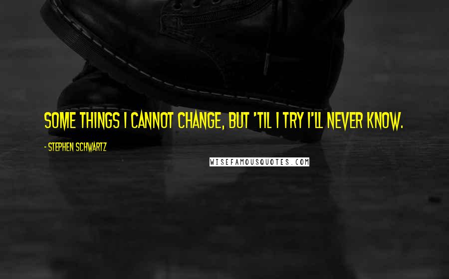 Stephen Schwartz Quotes: Some things I cannot change, but 'til I try I'll never know.