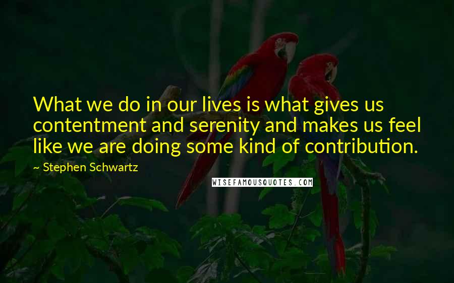 Stephen Schwartz Quotes: What we do in our lives is what gives us contentment and serenity and makes us feel like we are doing some kind of contribution.