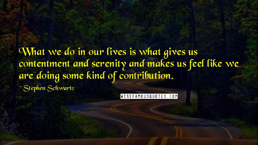 Stephen Schwartz Quotes: What we do in our lives is what gives us contentment and serenity and makes us feel like we are doing some kind of contribution.