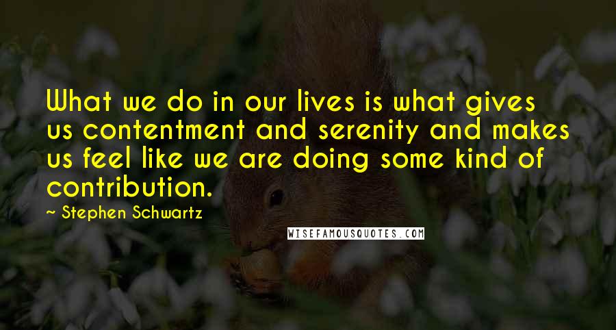 Stephen Schwartz Quotes: What we do in our lives is what gives us contentment and serenity and makes us feel like we are doing some kind of contribution.