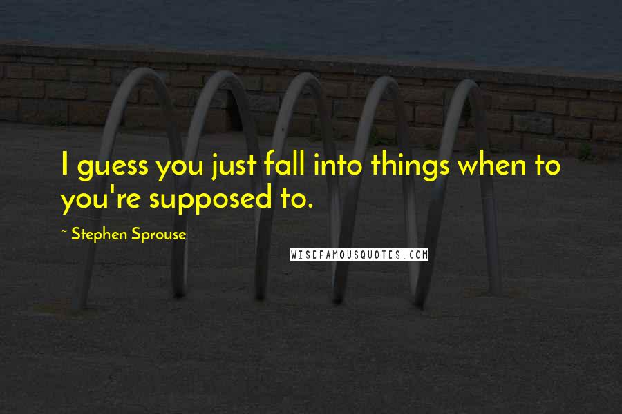 Stephen Sprouse Quotes: I guess you just fall into things when to you're supposed to.