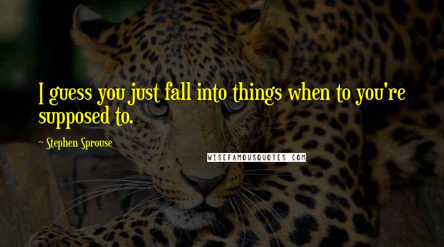 Stephen Sprouse Quotes: I guess you just fall into things when to you're supposed to.