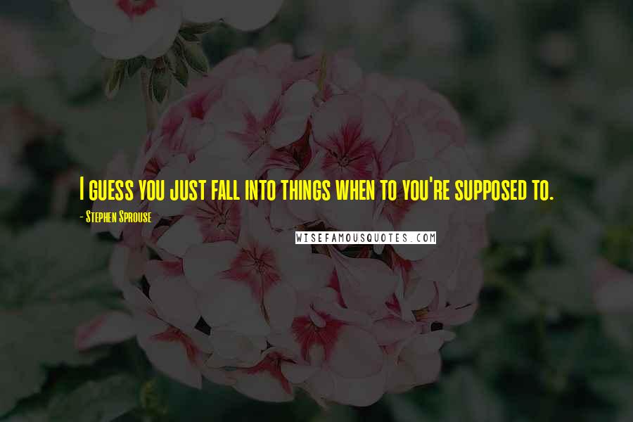 Stephen Sprouse Quotes: I guess you just fall into things when to you're supposed to.