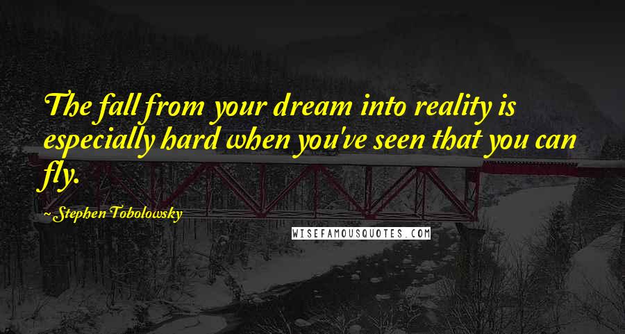 Stephen Tobolowsky Quotes: The fall from your dream into reality is especially hard when you've seen that you can fly.