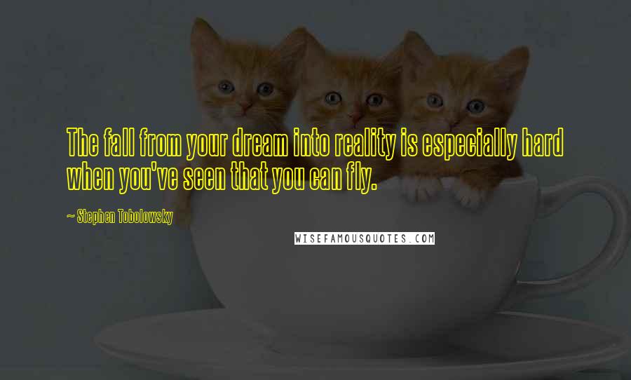 Stephen Tobolowsky Quotes: The fall from your dream into reality is especially hard when you've seen that you can fly.
