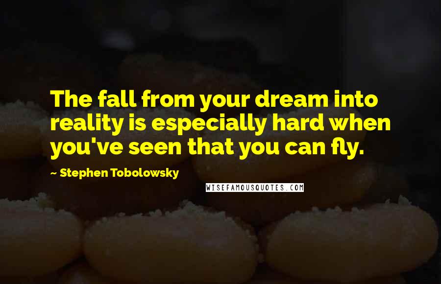 Stephen Tobolowsky Quotes: The fall from your dream into reality is especially hard when you've seen that you can fly.